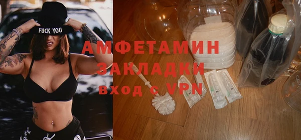 молекула духа Бородино