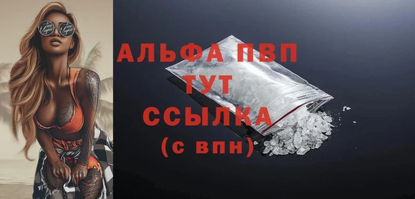 молекула духа Бородино