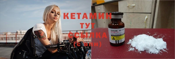 молекула духа Бородино