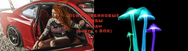 стаф Новозыбков