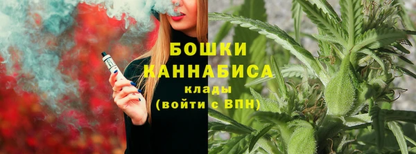 молекула духа Бородино