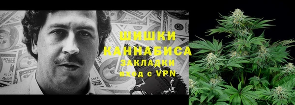 ешки Бронницы